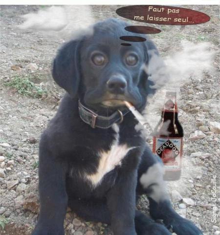 Faut pas me laisser seul....